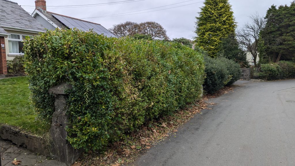 handyman gardener swansea neath port talbot powys garden design swansea neath port talbot powys gardening services near me garden services in swansea neath port talbit powys garden clearance swansea neath port talbot powys grass cutting swansea neath port talbot powys lawn mowing swansea neath port talbot powys garning services swansea neath port talbot powys hedge trimming swansea neath port talbot powys weeding swansea neath port talbot powys patio installation neath port talbot powys fence erection swansea neath port talbot powys turf installaion swansea neath port talbot powys grass seeding in swansea neath port talbot powys